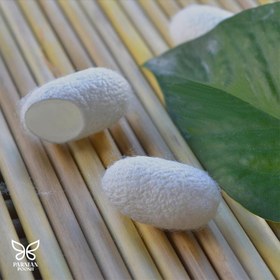 تصویر پیله ابریشم 