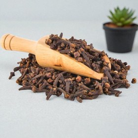 تصویر گل میخک خشک 