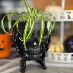 تصویر گیاه گندمی برای تزئین فضاهای عمومی و تجاری 