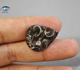 تصویر فسیل توریتلا 3 گرم 