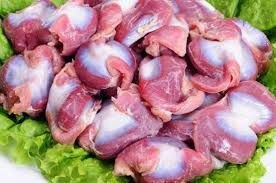 تصویر سنگدان مرغ 