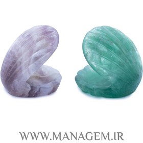 تصویر صدف فلوریت 