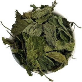 تصویر برگ گزنه 