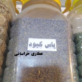 تصویر گل یاس کبود خشک 