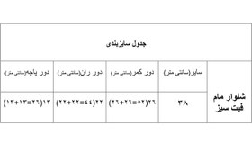 تصویر شلوار مام استایل کد 202 