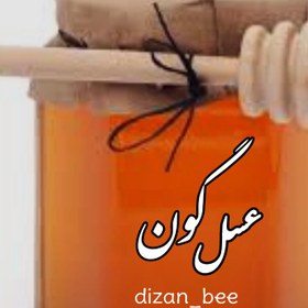 تصویر عسل صد در صد طبیعی گون 1000 گرمی دیزان dizan_bee