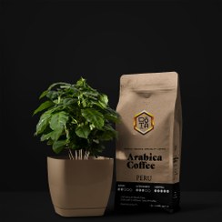 تصویر قهوه عربیکا پرو | PERU ARABICA 