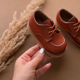 تصویر کالج آراز 