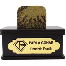 تصویر سنگ شجر فسیلی (دندریتی ) کد 2202 