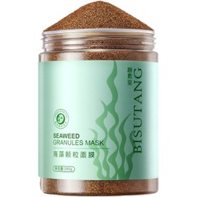 تصویر ماسک گرانولی جلبک دریایی بیسوتانگ ۲۵۰ میلی‌لیتر BISUTANG Seaweed Granules Mask 