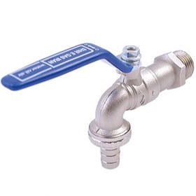 تصویر شیر حیاطی 