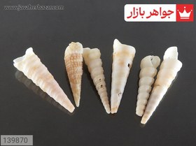 تصویر نگین صدف جذاب کد 139870 