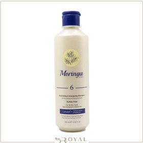 تصویر شامپو مغذی و انرژی بخش 6 مناسب انواع مو به ویژه کراتینه حجم 400 میل مورینگا Moringa Nourishing and Energizing Shampoo 6 for All Hair Types, Especially Keratin-Treated Hair, 400ml