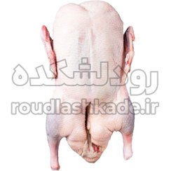 تصویر غاز محلی پرکنده Goose Meat