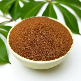 تصویر خاکشیر 