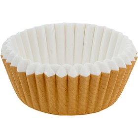 تصویر کپسول دانمارکی 