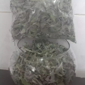 تصویر پونه ی کوهی تازه 