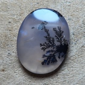 تصویر شجر قائن واضح زیبا 