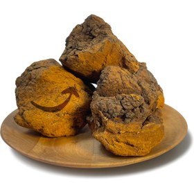 تصویر قارچ چاگا 