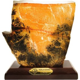 تصویر سنگ راف شجر فسیلی پارلاگوهر کد 5872 