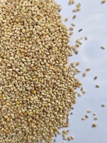 تصویر ارزن درشت یک کیلویی 