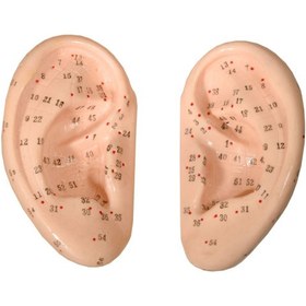 تصویر مولاژ گوش کوچک 