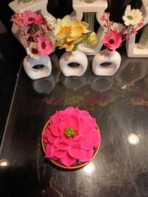 تصویر کاکتوس صورتی 