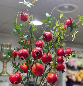 تصویر شاخه انار بلند 