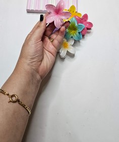 تصویر کلیپس کوچیک پلو مریا 