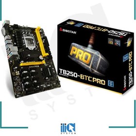 تصویر مادربرد بایوستار TB250-BTC PRO Biostar TB250-BTC PRO DDR4 LGA 1151 Motherboard