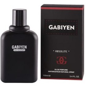 تصویر ادو پرفیوم مردانه گابی ین مدل Hand Made Sauvage Gabiyen Sauvage Eau De Parfum For Men 100ml