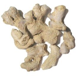 تصویر زنجبیل قلم 