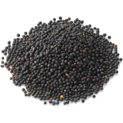 تصویر کلزا رقم هایولا 50 دستی بوجار شده و درجه یک بسته های قیمت برای هر کیلو می‌باشد ده کیلویی لطفاً در صورت نیاز به هر میزان تماس بفرمایید