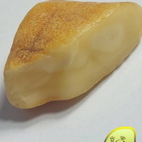 تصویر راف کهربای بالتیک 