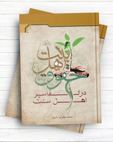 تصویر حقوق اهل بیت (ع) در تفاسیر اهل سنت 