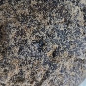 تصویر عنبر الشهب یک گرم 