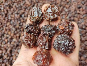 تصویر آلوچه خرید آلوچه آفتاب خشک اعلی مراغه | ترش‌مزه، خوش‌رنگ و 100٪ طبیعی – آلارسان