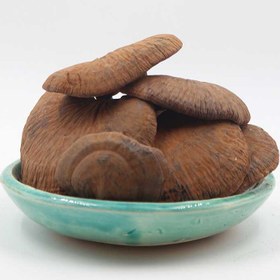 تصویر قارچ گانودرما درجه یک 