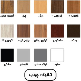 تصویر میز تریبون میکرون مدل L-01 