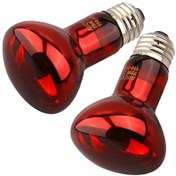 تصویر لامپ مادر مصنوعی 60وات پک 2عددی 