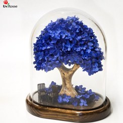 تصویر درختچه هورتانسیا جاودان آبی 