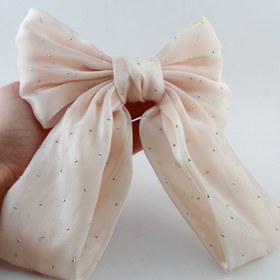 تصویر گیره مو فرانسوی مدل نگینی 