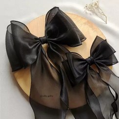 تصویر پاپیون حریر دنباله‌دار 