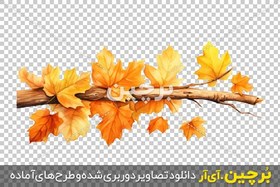 تصویر نقاشی آبرنگ شاخه درخت افرا با برگ‌های نارنجی png 