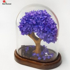 تصویر درختچه هورتانسیا جاودان بنفش 