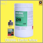 تصویر ماده رنگ زرد بیرونی سانکم ترکیه-CYB Sunkem COLORAL Exterior Yellow - CYB