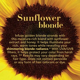 تصویر روغن مو آفتابگردان محافظت رنگ مو Sunflower Shimmering Blonde او جی ایکس OGX 