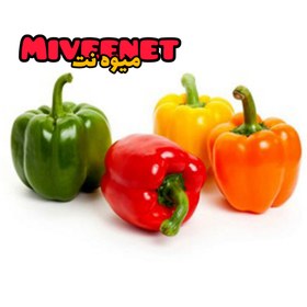 تصویر فلفل دلمه ای رنگی ۳۰۰گرمی بسته بندی تازه نگهدار میوه نت Colored bell peppers fresh packing 300gr miveenet