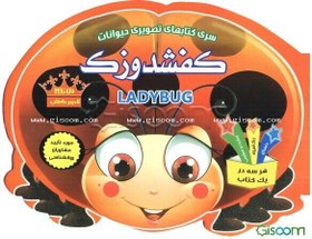 تصویر کفش‌دوزک 