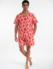 تصویر ست فلفلی 